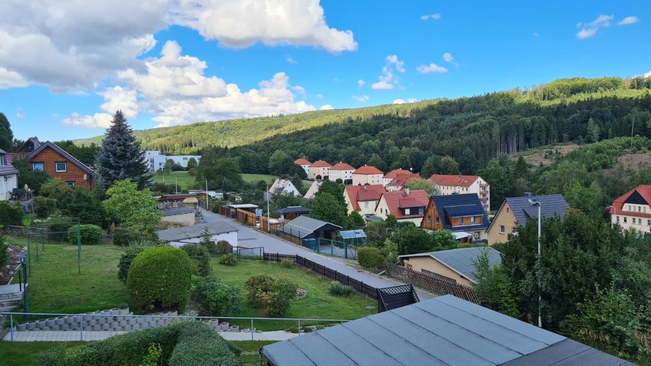 Ferienhaus Marx Sebnitz Buitenkant foto