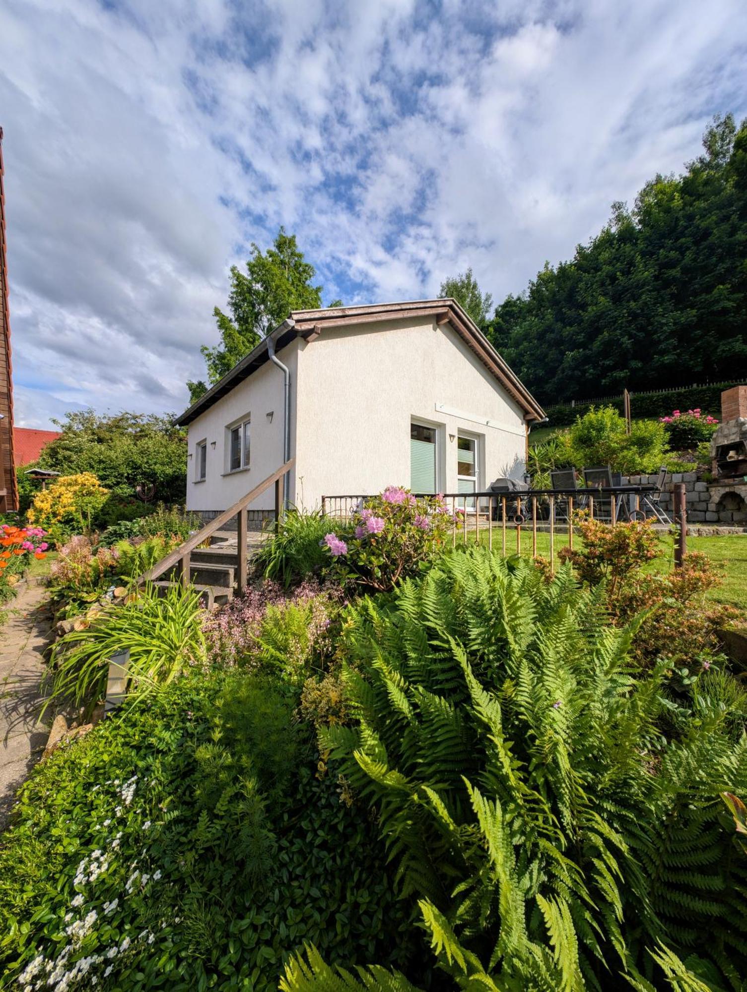 Ferienhaus Marx Sebnitz Buitenkant foto